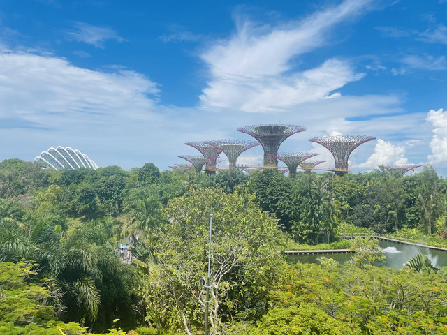 第一个来自西方的使节